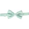 STACY ADAMS mens Satin Solid Bow TieBow Tie(Mint)